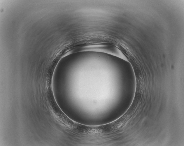 X0000067920546200604171406
