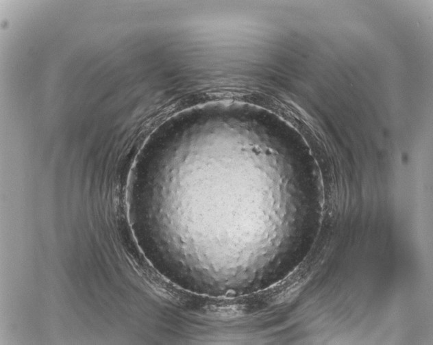 X0000067920553200604171406