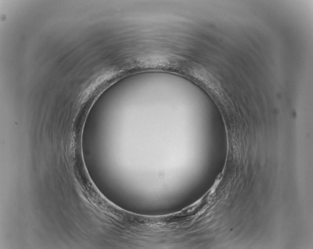 X0000067920583200604171406