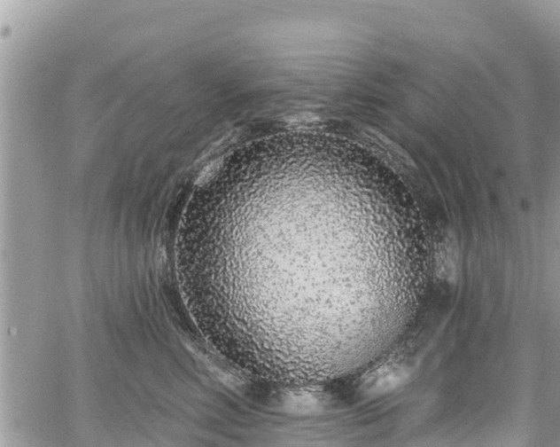 X0000067920618200604171405