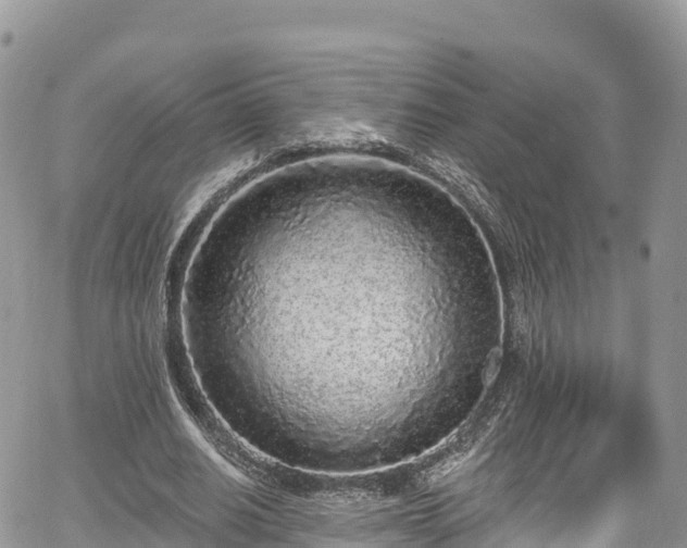 X0000067920630200604171404