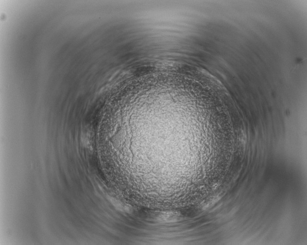X0000067920663200604171405