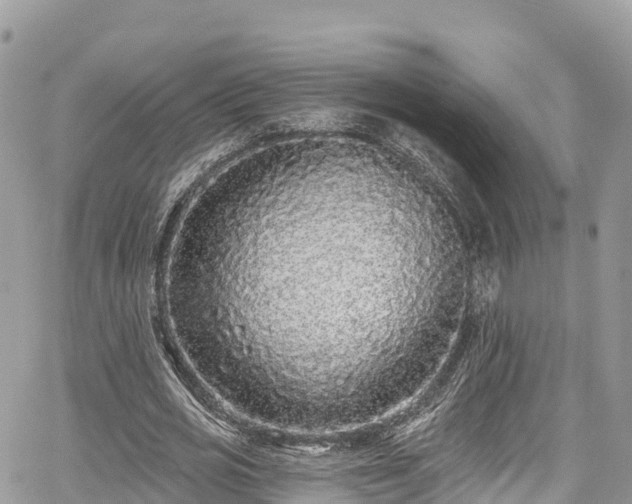 X0000067920725200604171403