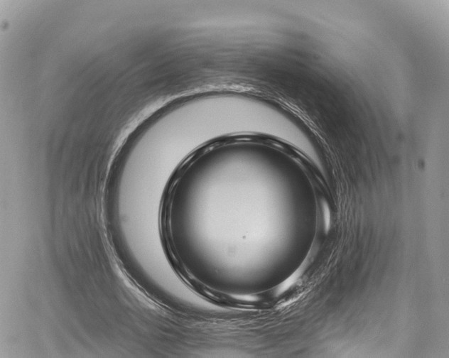 X0000067920726200604171403
