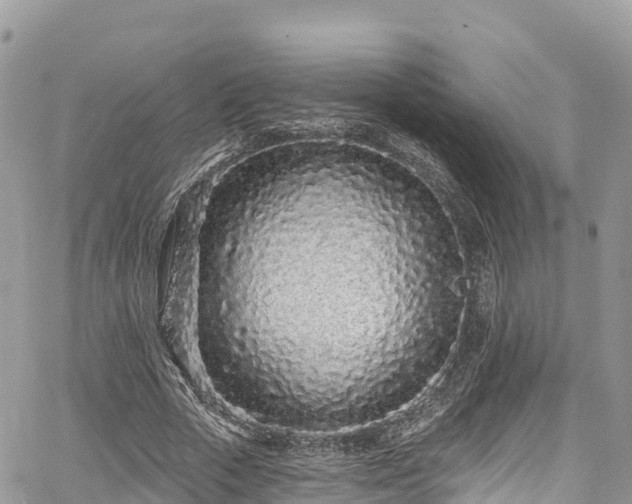 X0000067920729200604171403