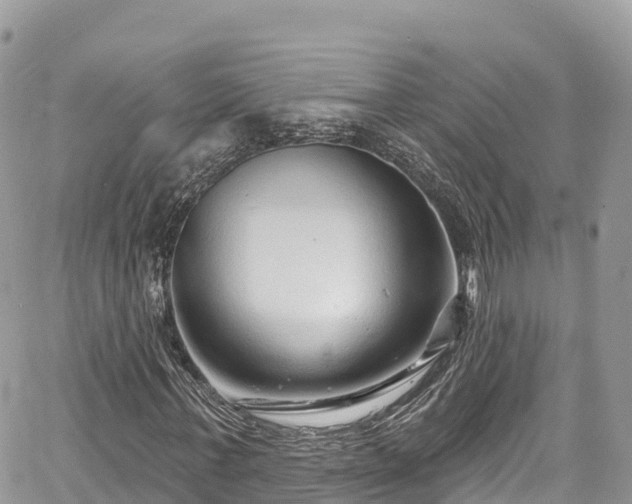 X0000067920771200604171403
