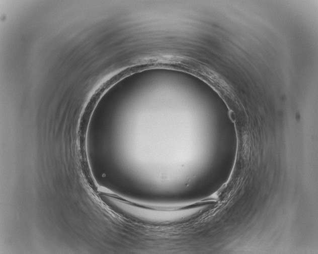 X0000067920784200604171402