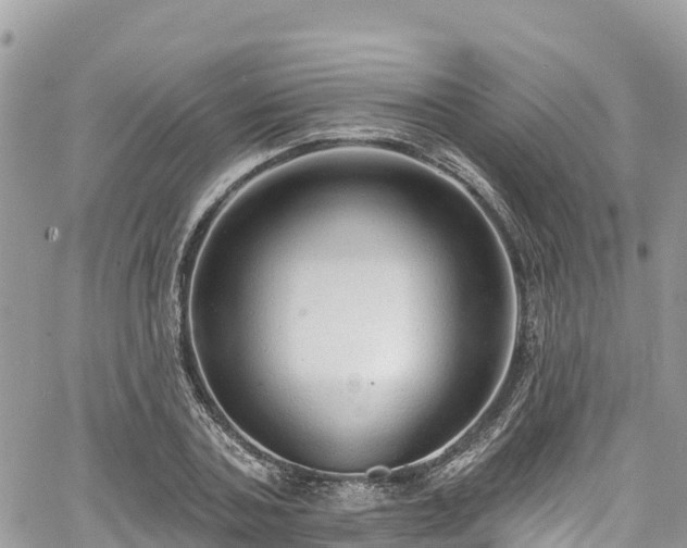 X0000067920787200604171402