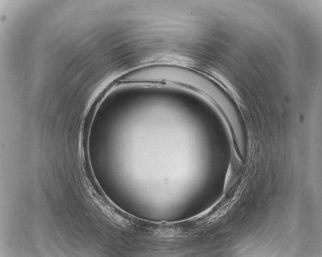 X0000067920788200604171402