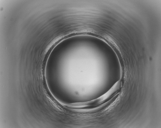 X0000067920789200604171402