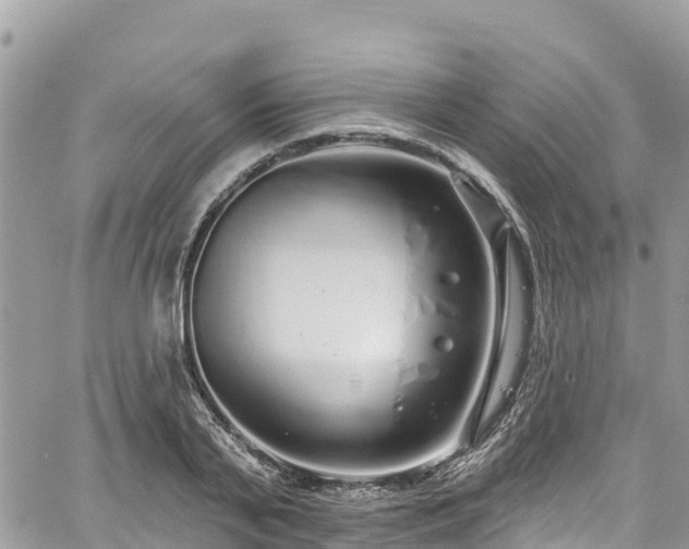 X0000067920791200604171402