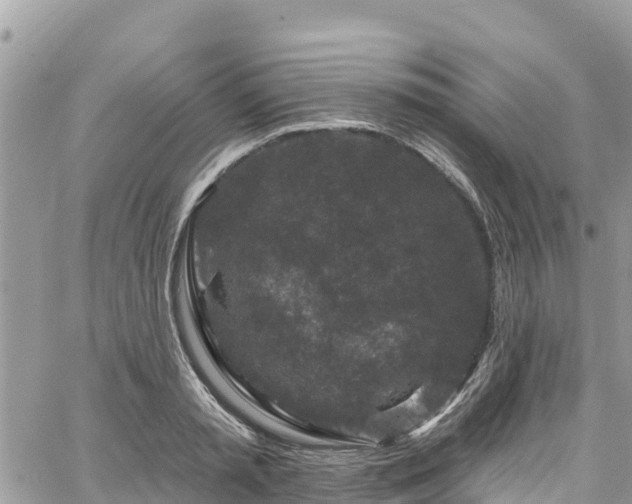 X0000067920797200604171402