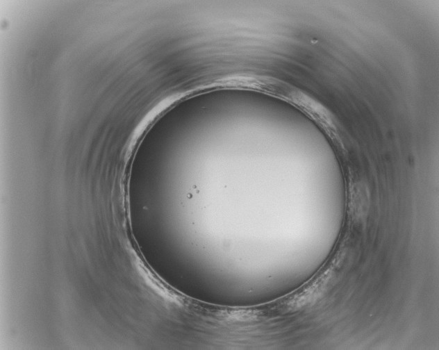 X0000067920808200604171402