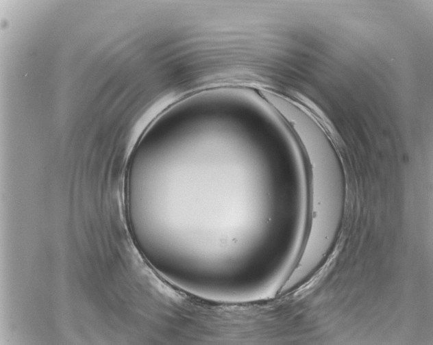 X0000067920812200604171402