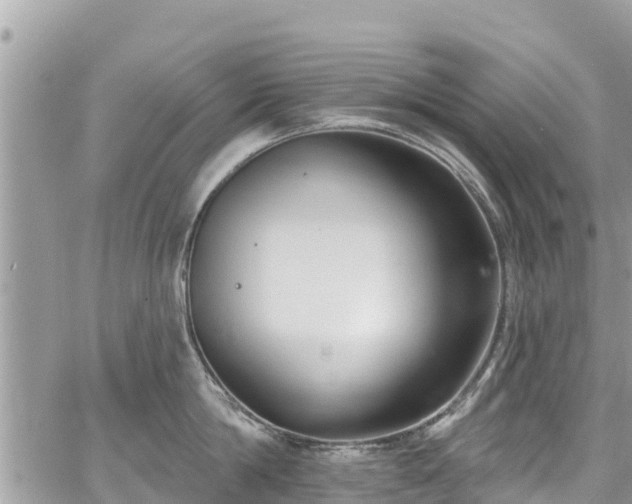 X0000067920814200604171402