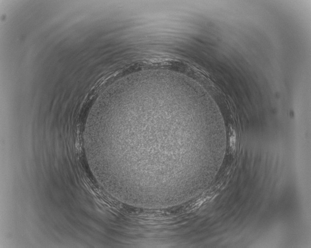X0000067920819200604171401
