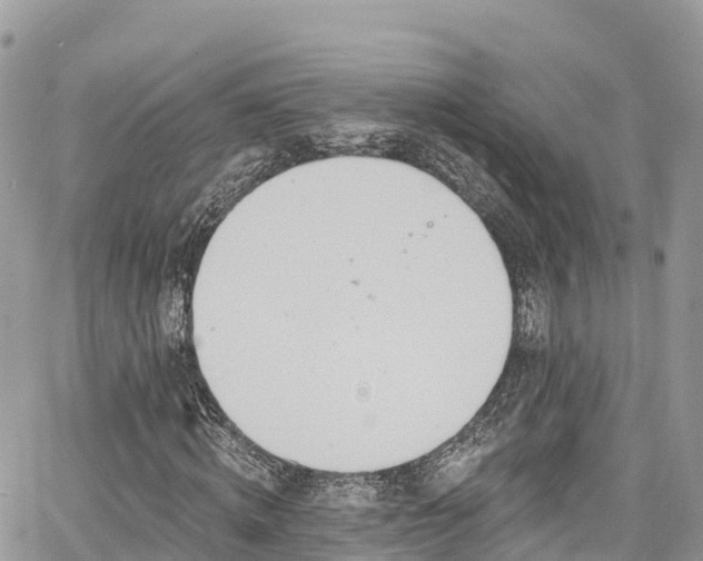 X0000067920820200604171401