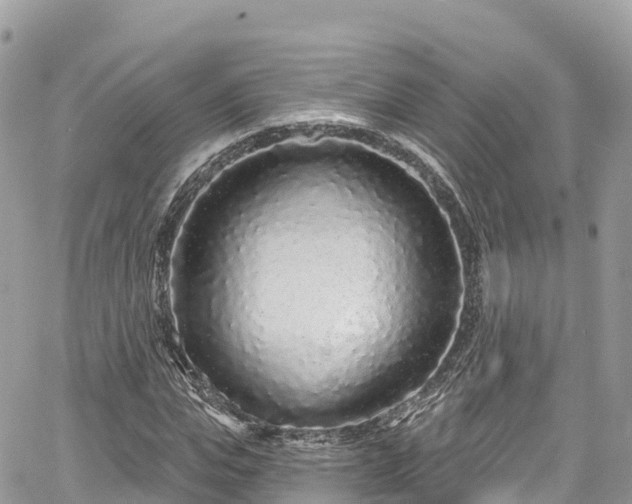X0000067920823200604171401