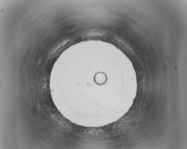 X0000067920824200604171401