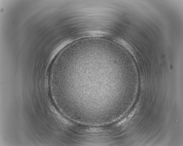 X0000067920835200604171401