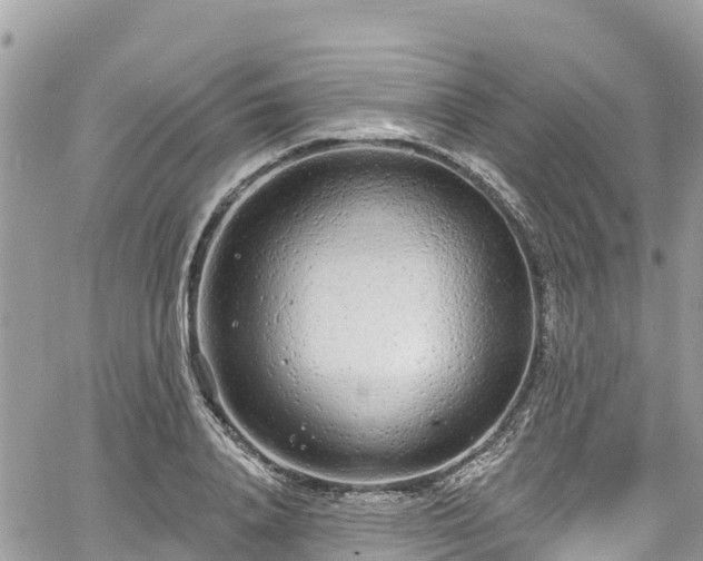 X0000067920840200604171402