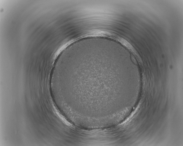 X0000067920842200604171402