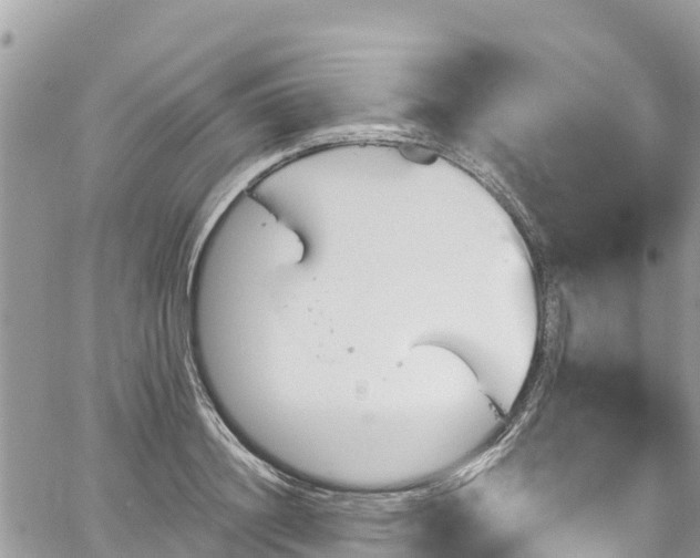 X0000067920844200604171402