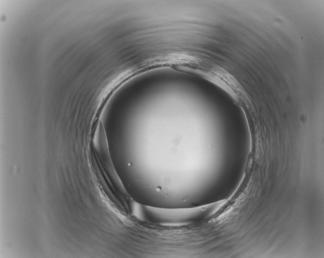 X0000067920850200604171402