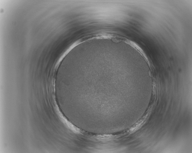 X0000067920859200604171402