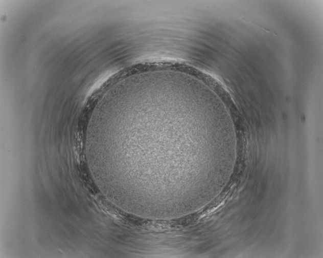 X0000067920871200604171401