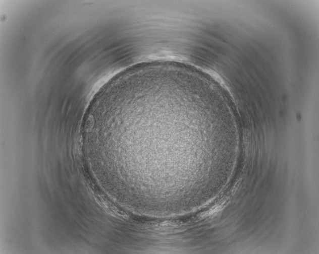 X0000067920879200604171401