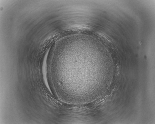X0000067920917200604171400