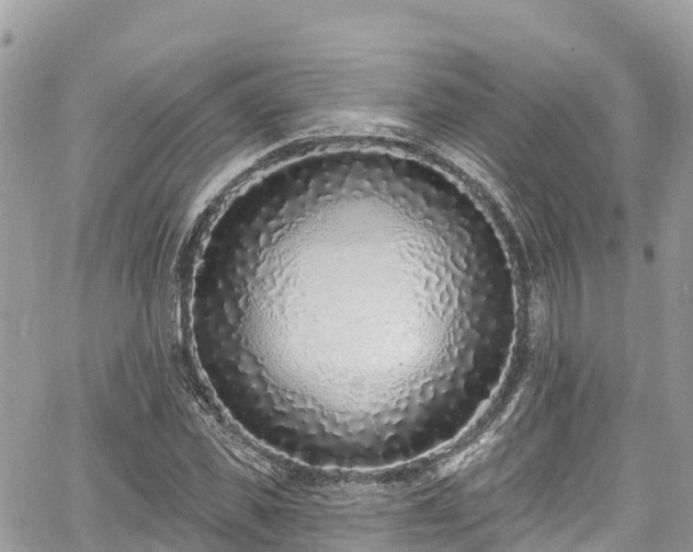 X0000067920925200604171400
