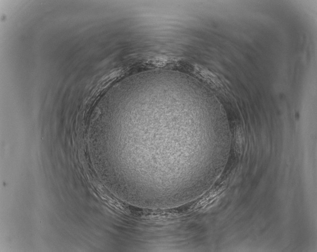 X0000067921105200604171356