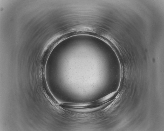 X0000067921115200604171357