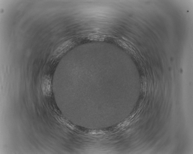 X0000067921154200604171356