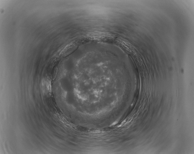 X0000067921155200604171356