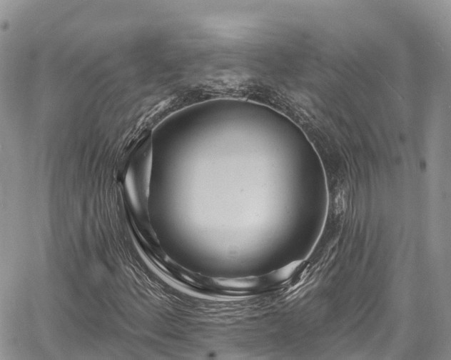 X0000067921156200604171356