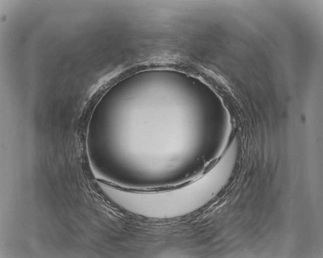 X0000067921160200604171356