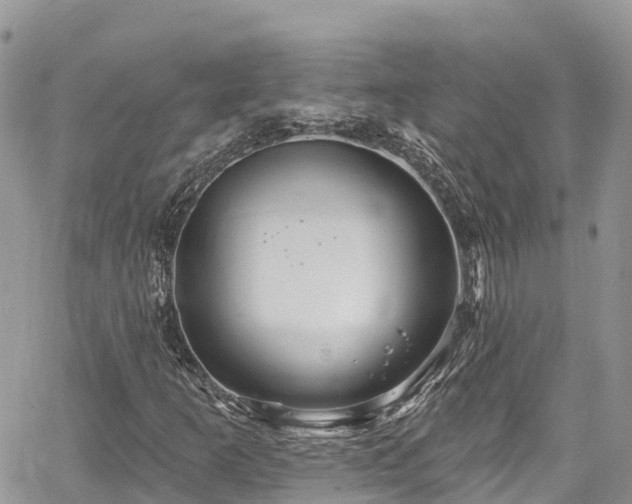 X0000067921253200604171355