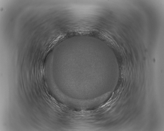 X0000067921298200604171353