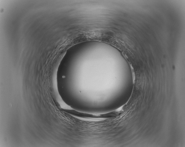 X0000067921345200604171353
