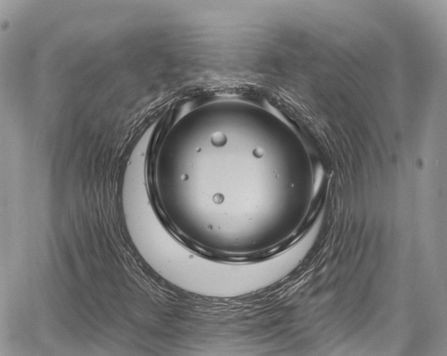 X0000067921348200604171353