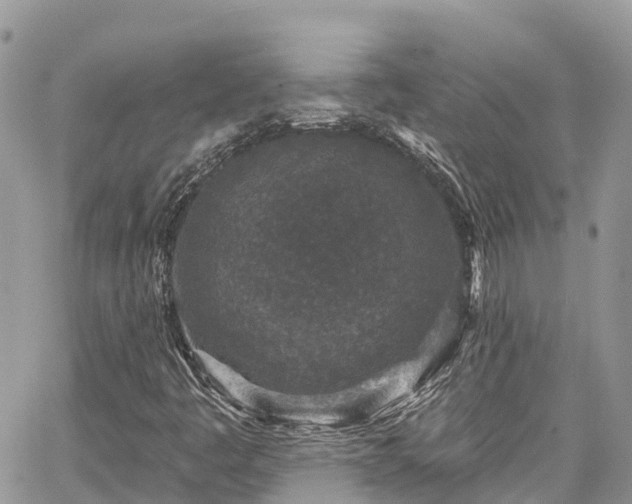 X0000067921445200604171352