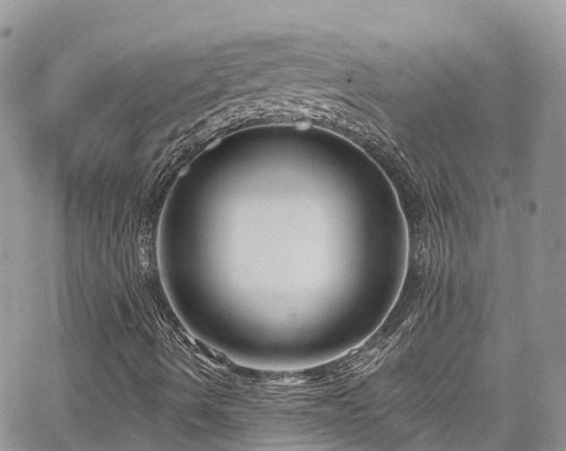 X0000067921490200604171350