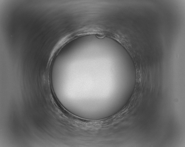 X0000067920004200604201442