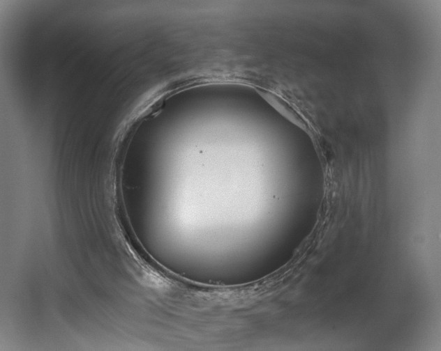 X0000067920005200604201442