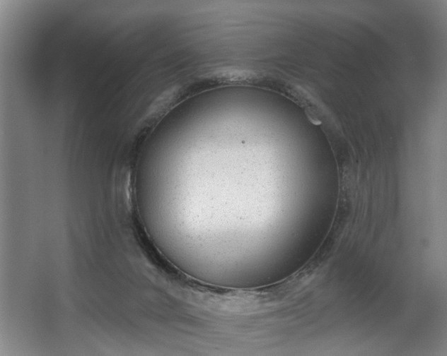 X0000067920024200604201442