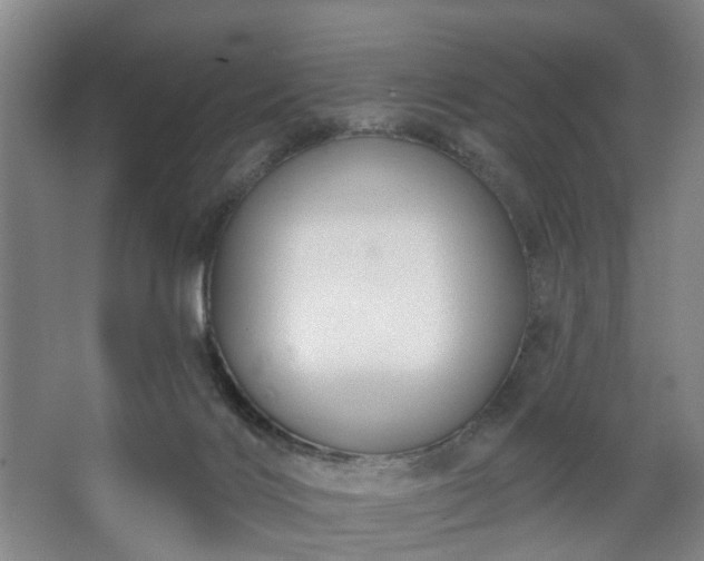X0000067920028200604201442