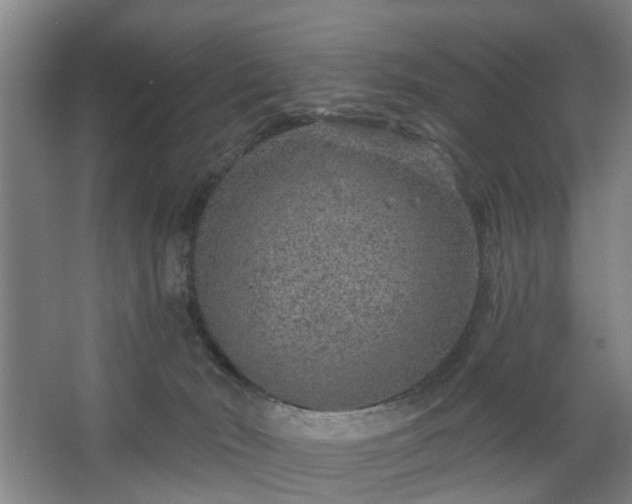 X0000067920030200604201442